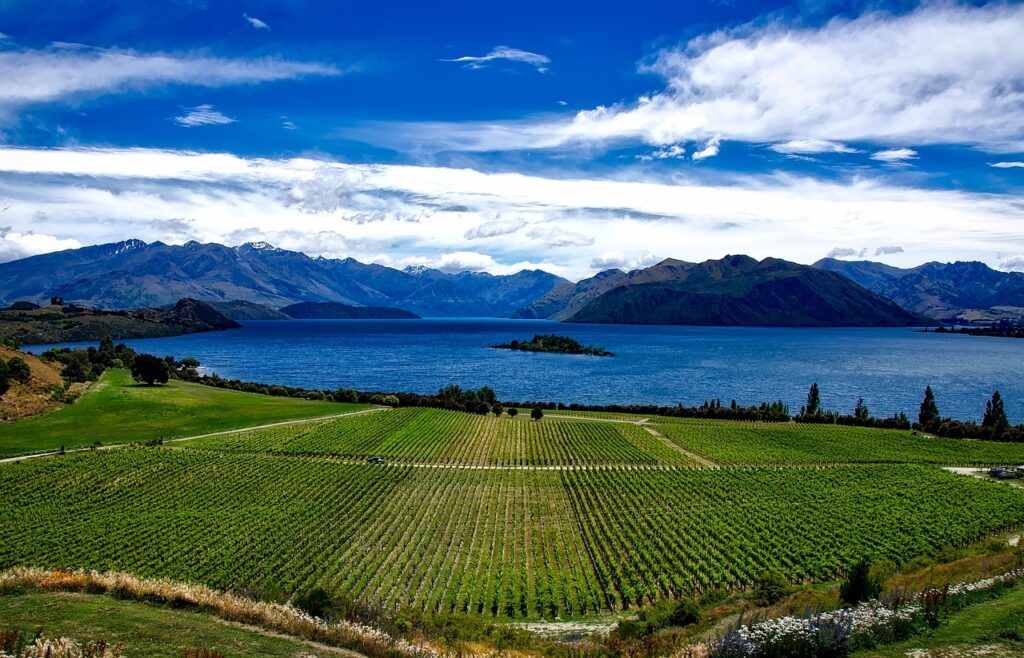 Neudorf Vineyards – Nelson, New Zealand