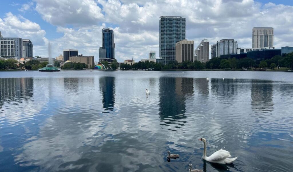 View of Orlando skyline from Lake Eola with swans in the foreground and city buildings in the background.