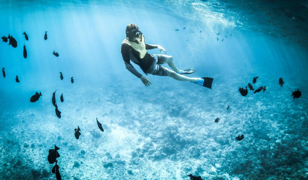 A snorkeler swims underwater among tropical fish in clear blue ocean waters, exploring a coral reef in a scenic marine setting.