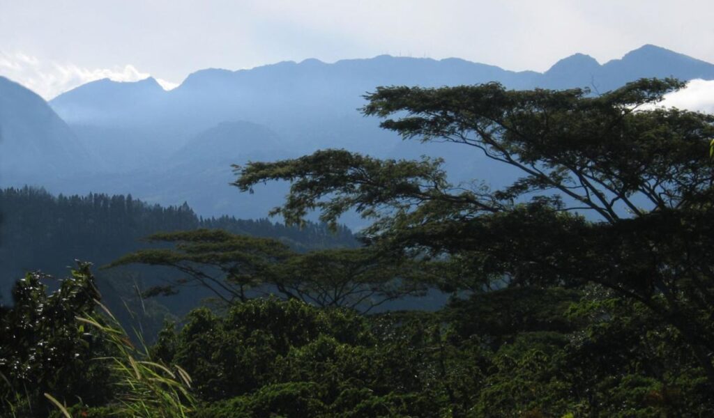 Misty mountain range and lush tropical trees in Panama's forested highlands.
