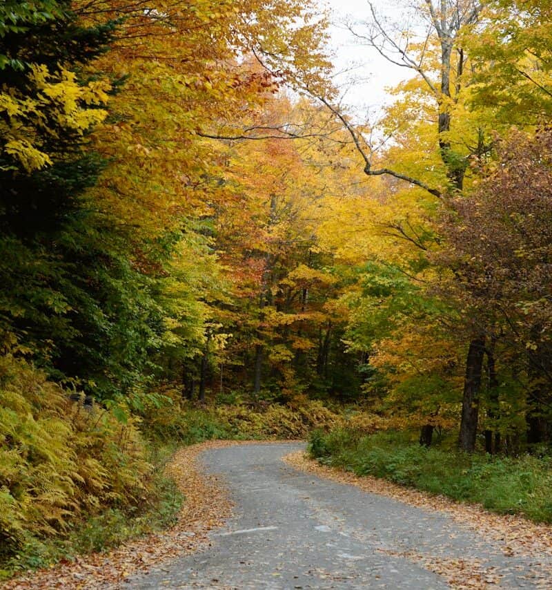 Vermont Foliage