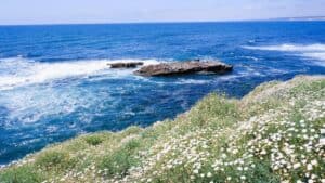 La Jolla Shores, California