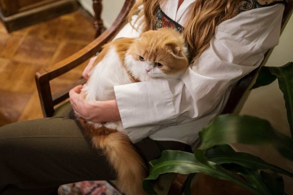 Cat with owner