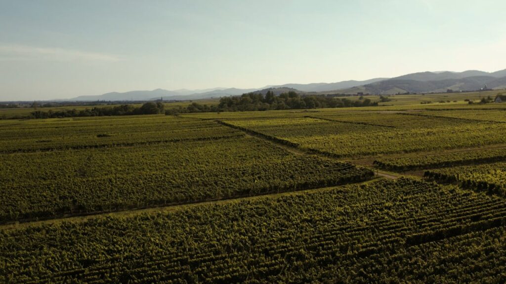 Domaine de la Garrelière – Loire Valley, France