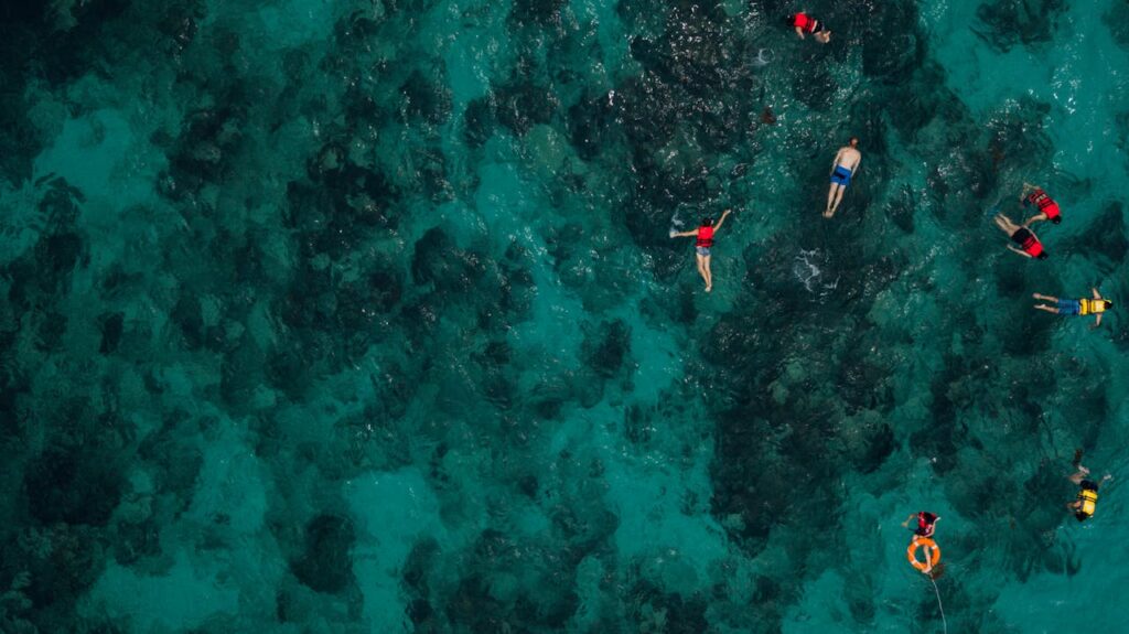 Family Snorkeling