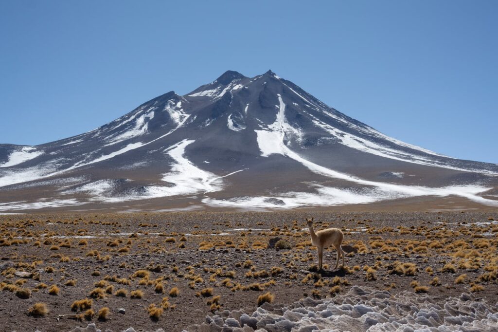Andes 