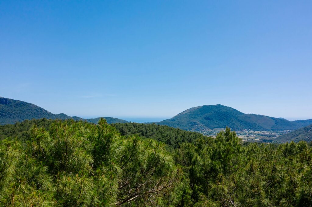 **Alt text:**
Panoramic view of green pine-covered hills with distant mountains and a glimpse of the sea under a clear blue sky.