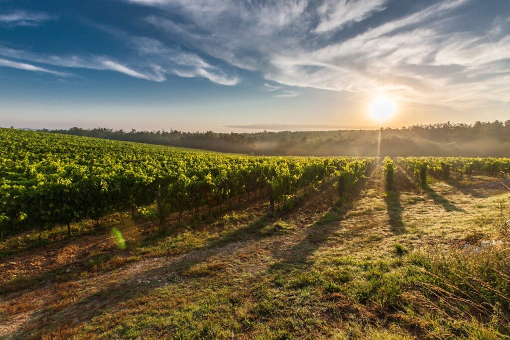 Salcheto – Tuscany, Italy
