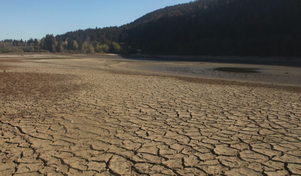 Cracked, dry earth in a barren landscape near a forested area, illustrating the effects of severe drought conditions.