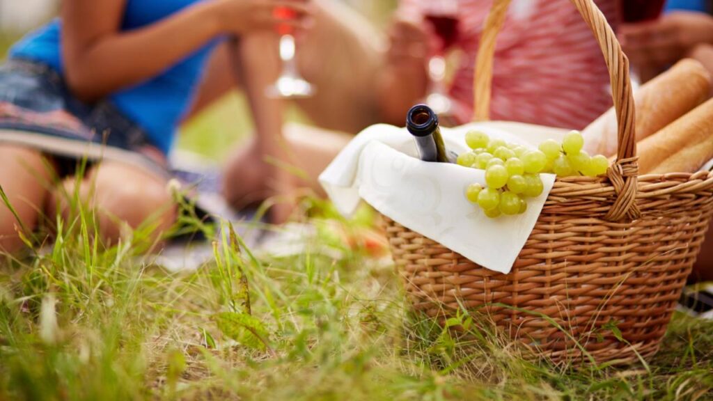 Family Picnic