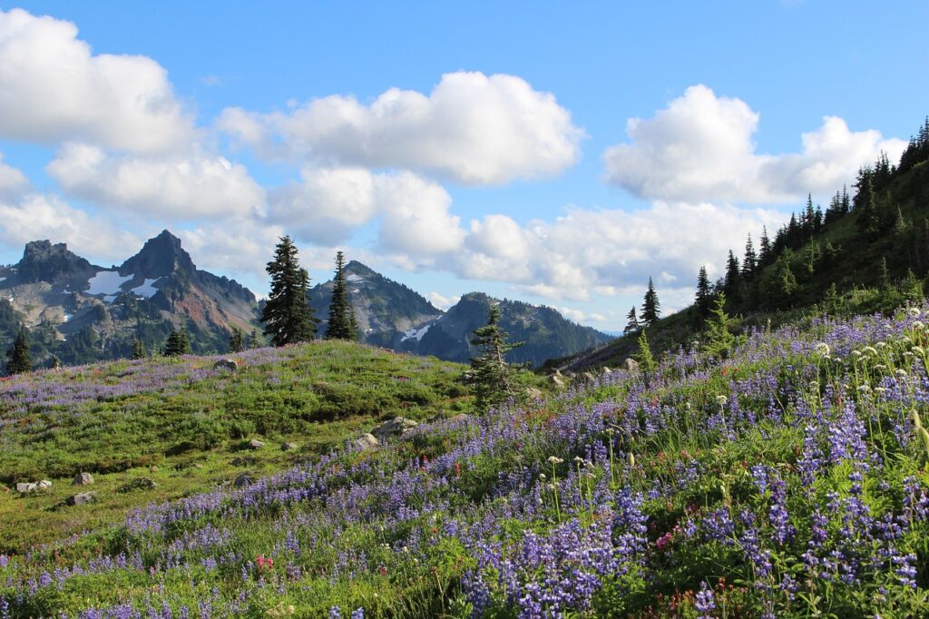 North Cascades National Park, Washington