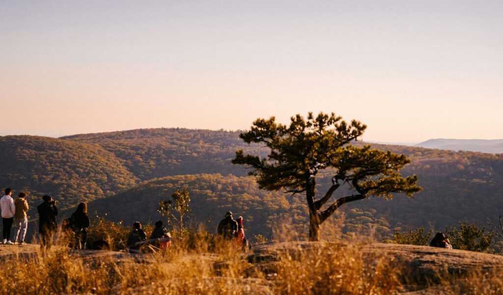 A group of people gathered on a scenic mountaintop at sunset, with some sitting, talking, or taking photos, surrounded by rolling hills and a lone tree in the foreground.