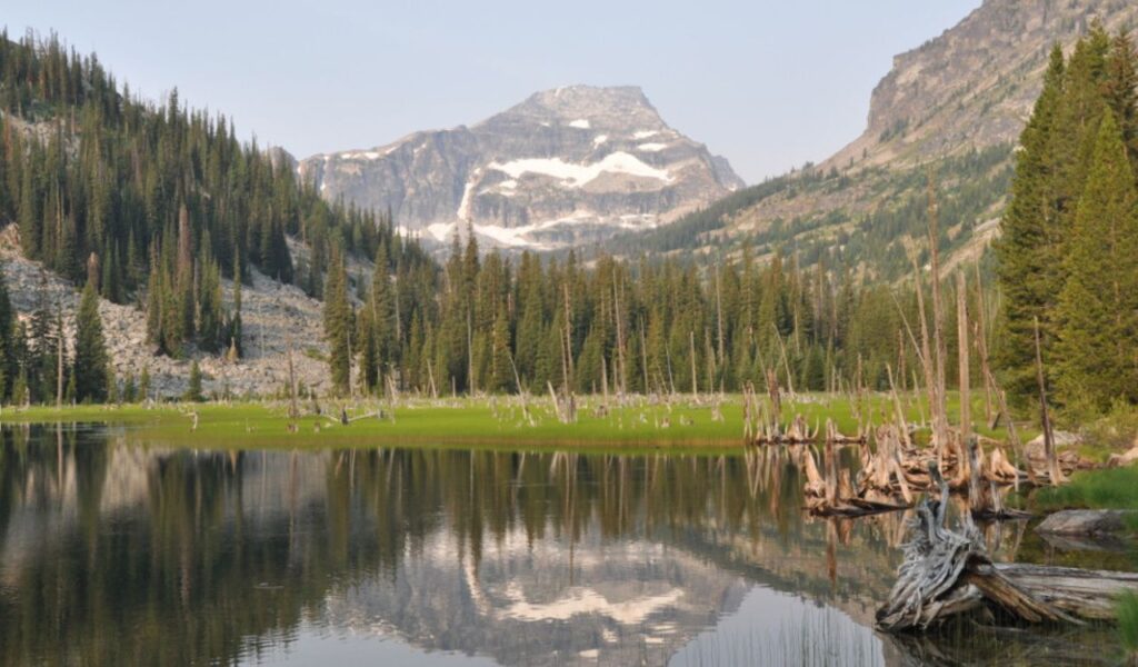 A serene lake reflects pine trees and snow-dusted peaks in the remote Selway-Bitterroot Wilderness of Montana.