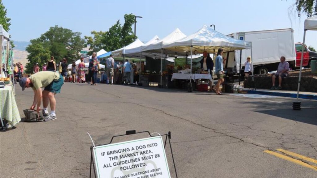Ashland, OR USA July 26 2024: Tents set up outside for farmers market and unidentified people in Ashland Oregon