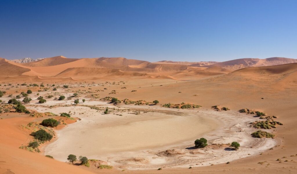 Aerial view of Sossusvlei in Namibia, with orange sand dunes, dry clay pans, and scattered green desert vegetation.