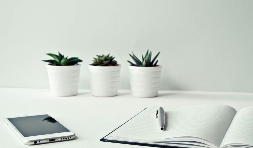 Open lined notebook with a pen, placed beside a smartphone and three small potted succulents on a white desk.