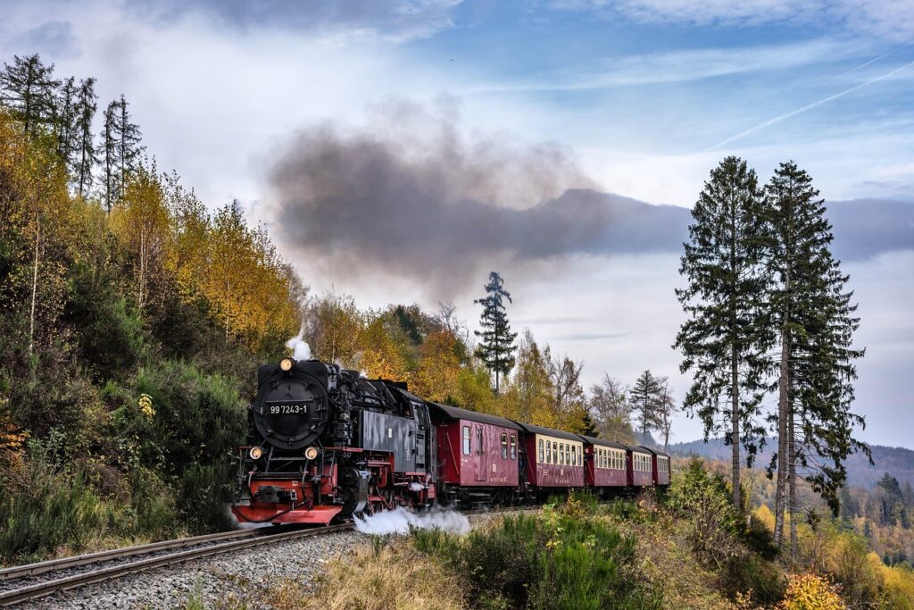 Narrow Gauge Railway