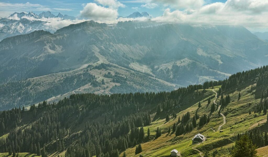 Stunning Swiss Alps landscape with lush green hills, pine trees, winding paths, and snow-capped peaks in the distance