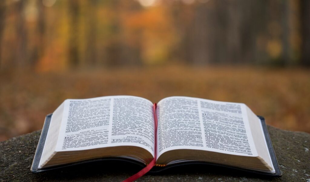 Open Bible resting on a stone surface outdoors with a blurred background of autumn trees.
