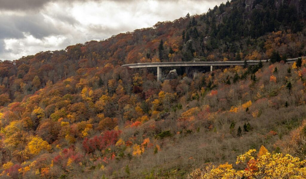 Elevated view of the Blue Ridge Parkway winding through a forested mountainside in autumn, with vibrant fall foliage in shades of red, orange, and yellow under a cloudy sky.