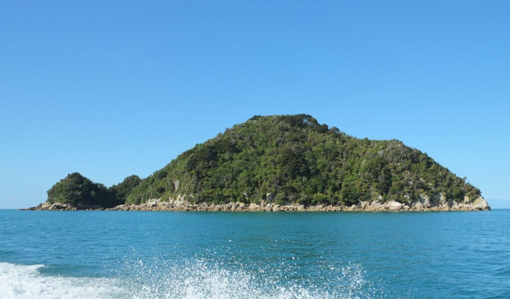 Lush green island in Tonga surrounded by clear blue ocean under a bright sky, viewed from a boat with visible wake.