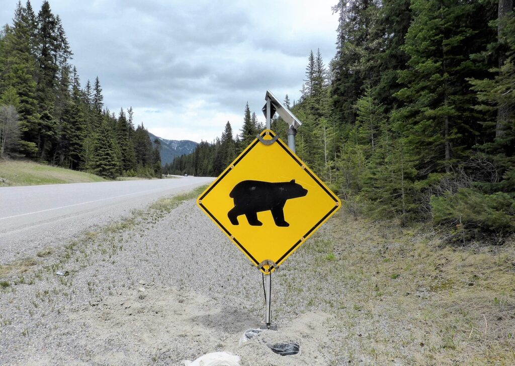 bear warning sign Canada