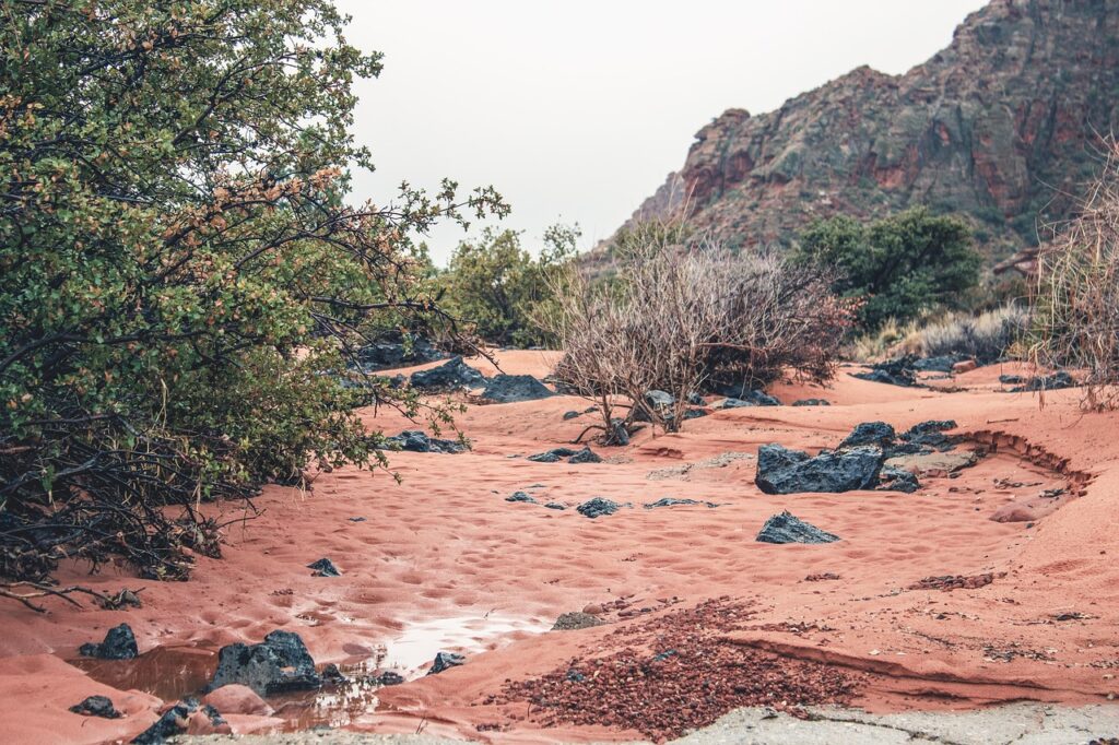 Utah: Red Rocks and Flash Floods