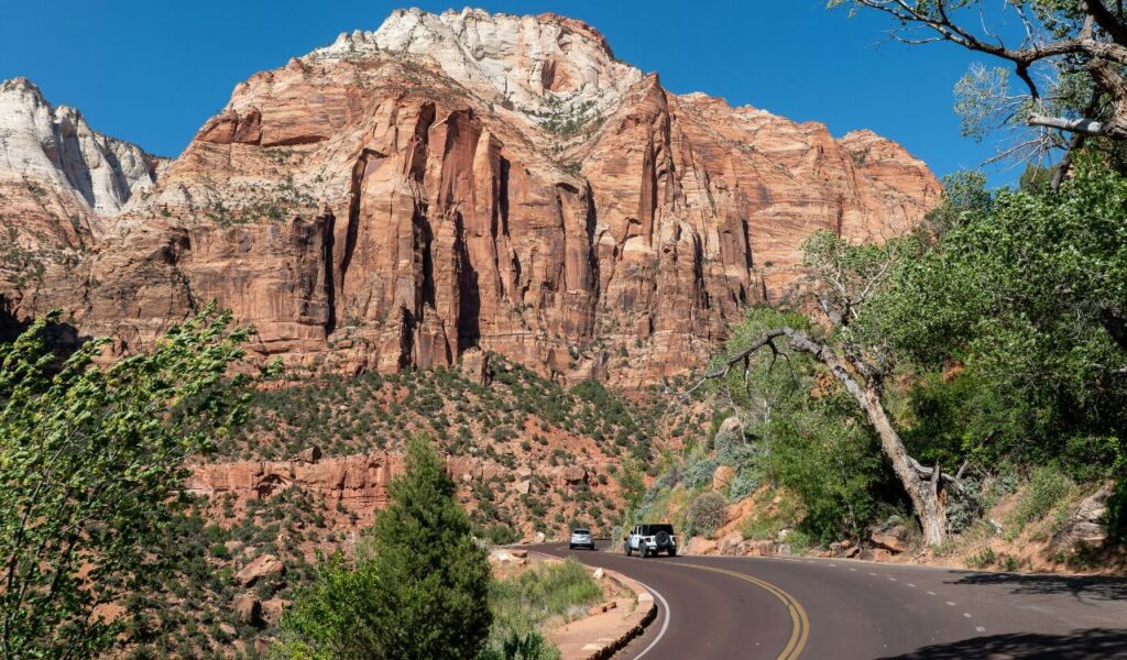  Curving road through Zion National Park with vehicles driving beneath towering red rock cliffs, surrounded by desert vegetation and bright green trees under a clear blue sky.