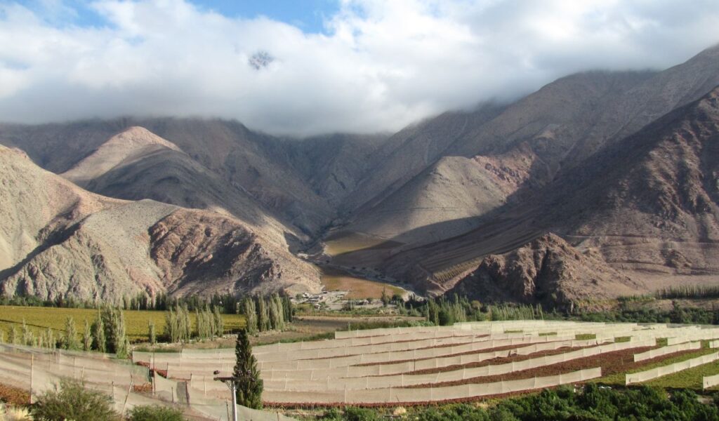 Vineyards and farmland in Valle de Elqui surrounded by rugged mountains in Chile.