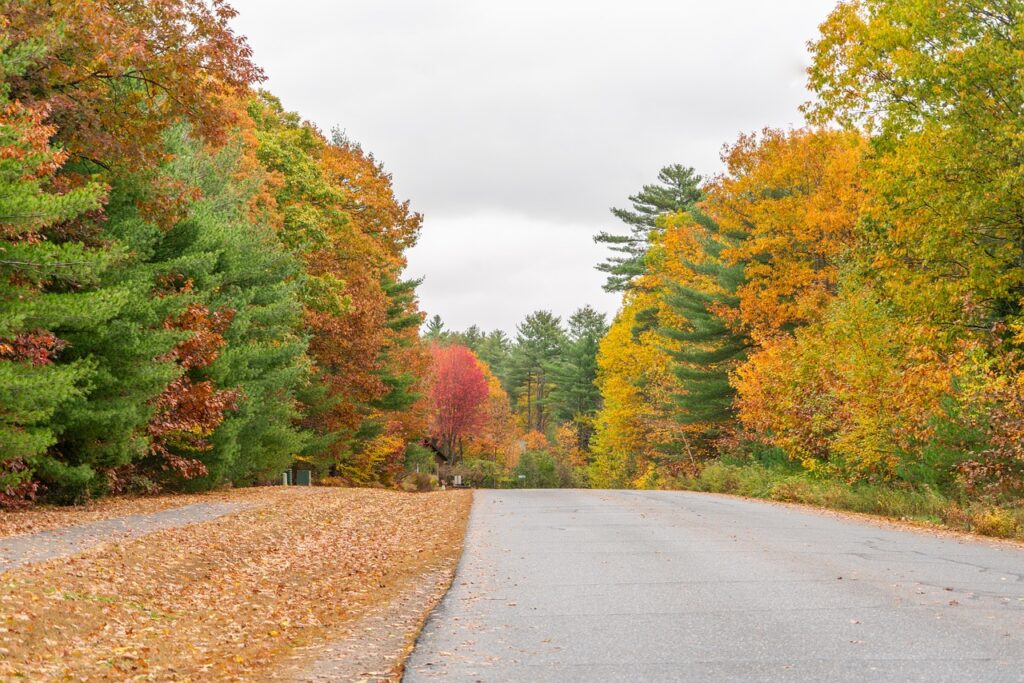 Vermont Foliage
