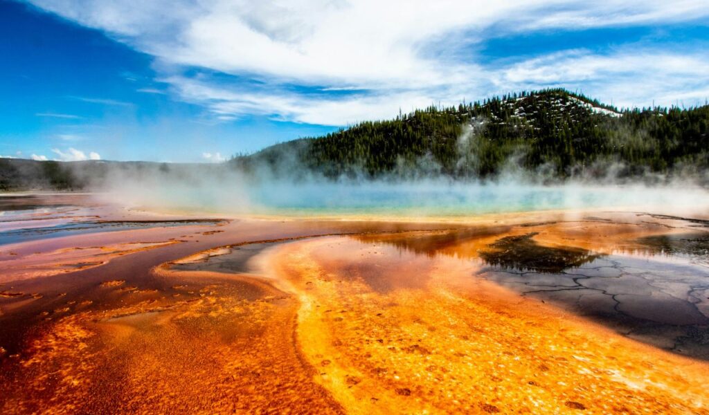 Vibrant geothermal spring with orange and blue hues, steam rising, and forested hills in Yellowstone National Park.