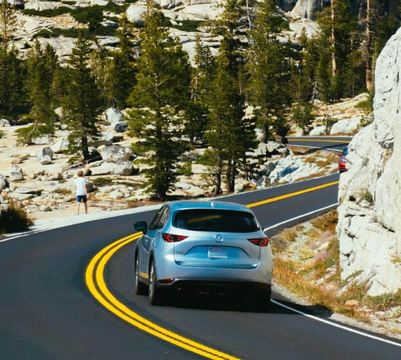 A silver car drives along a winding mountain road lined with pine trees, rocky terrain, and bright yellow road markings.