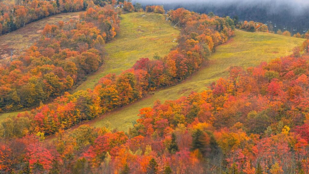 Rolling hills covered in vibrant autumn foliage with shades of red, orange, and yellow, surrounding open grassy slopes under a misty sky.