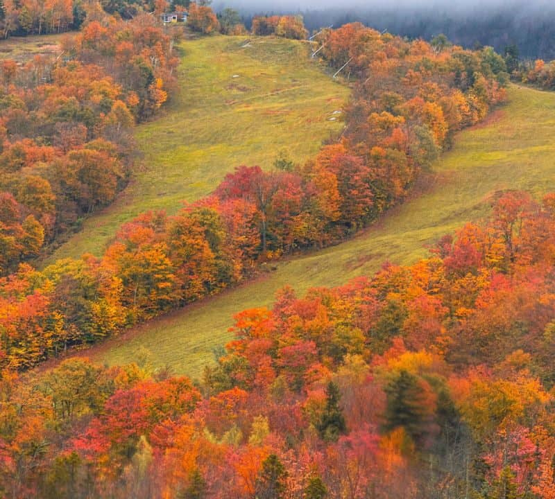 Rolling hills covered in vibrant autumn foliage with shades of red, orange, and yellow, surrounding open grassy slopes under a misty sky.