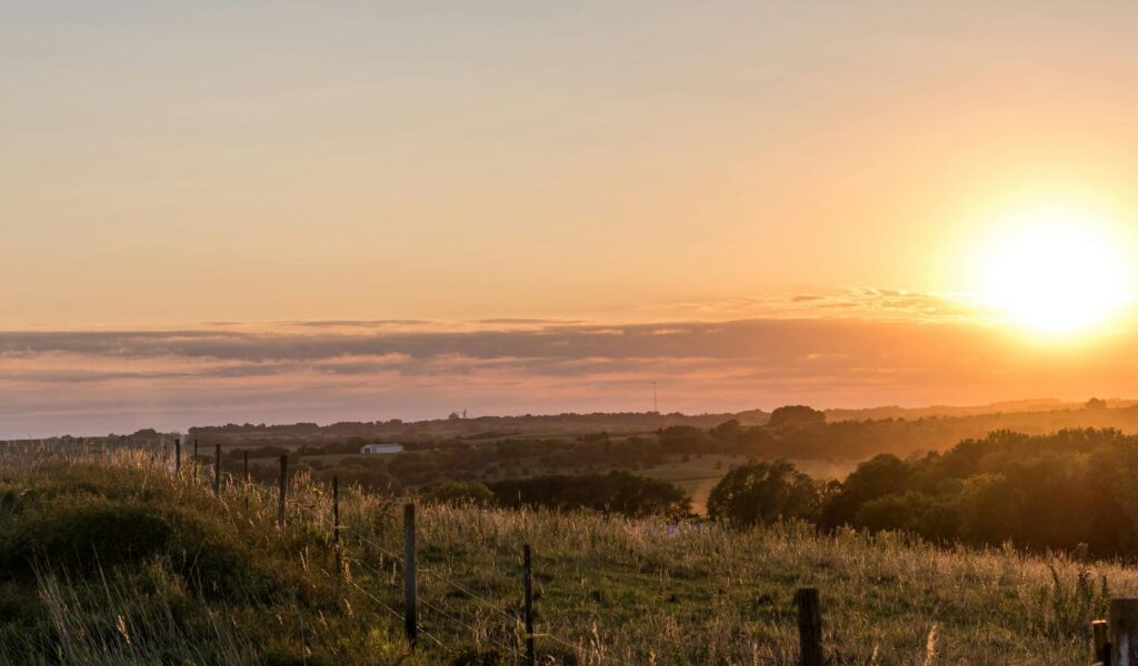 A scenic sunrise over the rolling prairie landscape at Agate Fossil Beds National Monument in Nebraska, with grassy fields, distant trees, and a warm golden glow across the horizon.
Ask ChatGPT