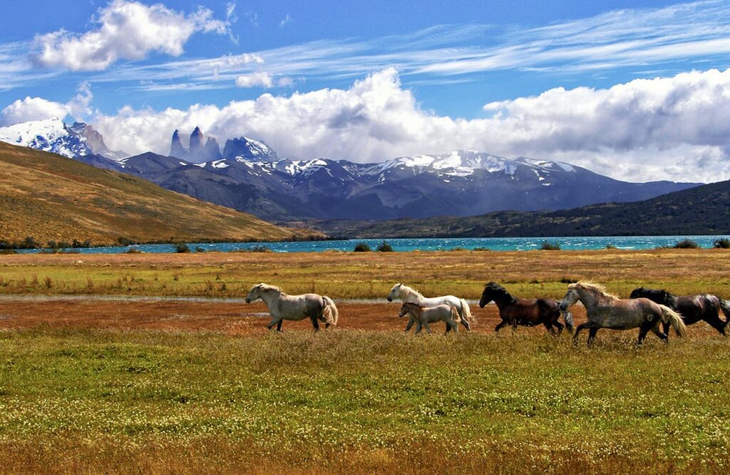 Torres del Paine, Chile