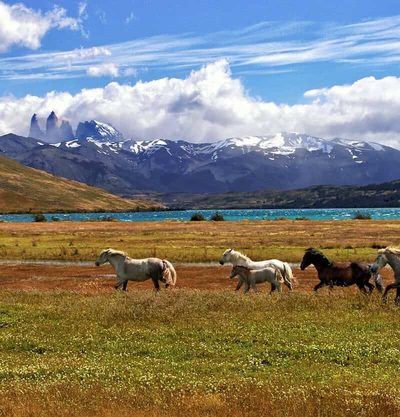 Torres del Paine, Chile