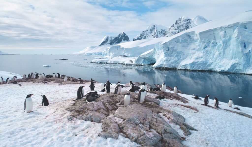 Small expedition cruise in Antarctica with penguins