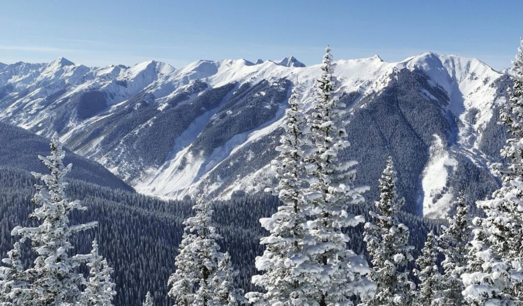 Snow-covered pine trees and rugged mountain peaks near Aspen, Colorado, with deep valleys and sunlit slopes under a clear blue winter sky.