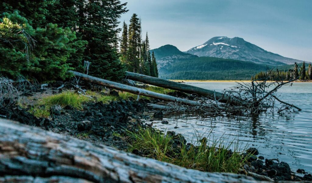 Peaceful lakeshore scene near Bend, Oregon, with fallen logs, pine trees, and a distant snow-dusted mountain reflected in calm water under a soft blue sky.