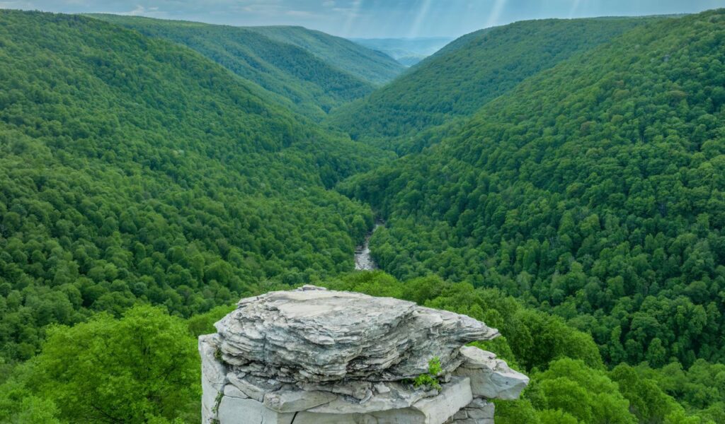 Large rocky outcrop overlooking a lush green valley with a river running through dense forested hills in Blackwater Falls, West Virginia