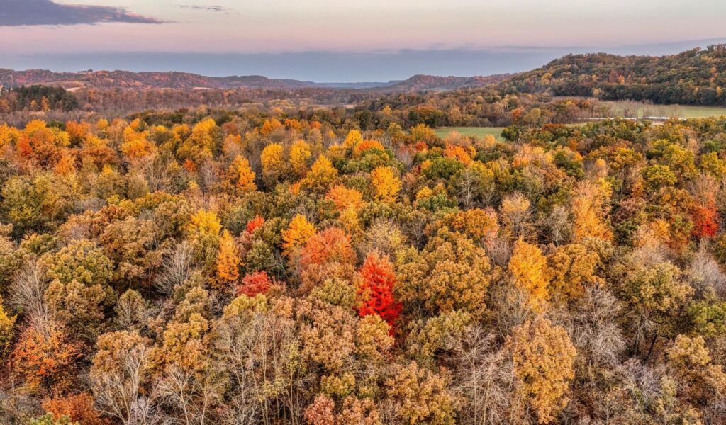 Aerial view of autumn foliage in Brown County, Indiana, with rolling hills and trees in vibrant fall colors.