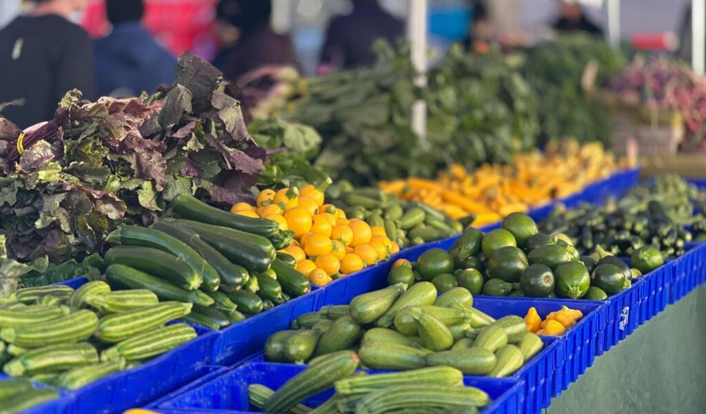 Fresh produce displayed at an outdoor farmers market, with rows of zucchini, cucumbers, squash, and leafy greens in blue bins.