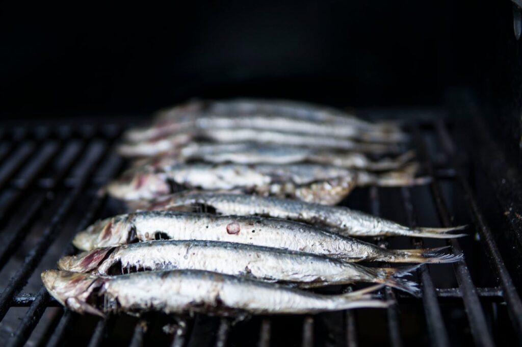 Raw grilled fish