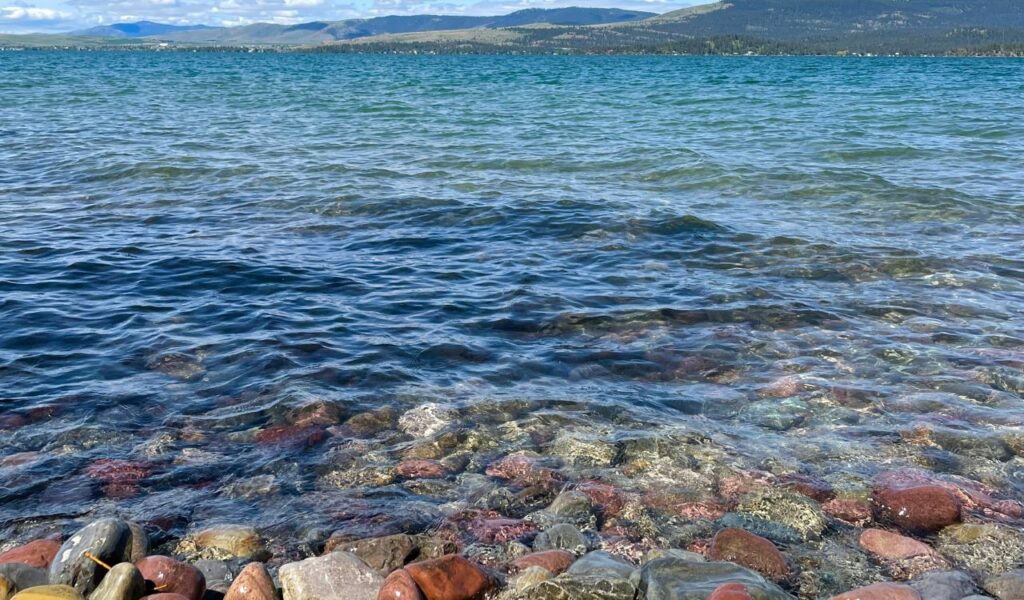 Clear blue waters of Flathead Lake in Montana gently lap over colorful pebbles along the shore, with forested hills in the distance.
