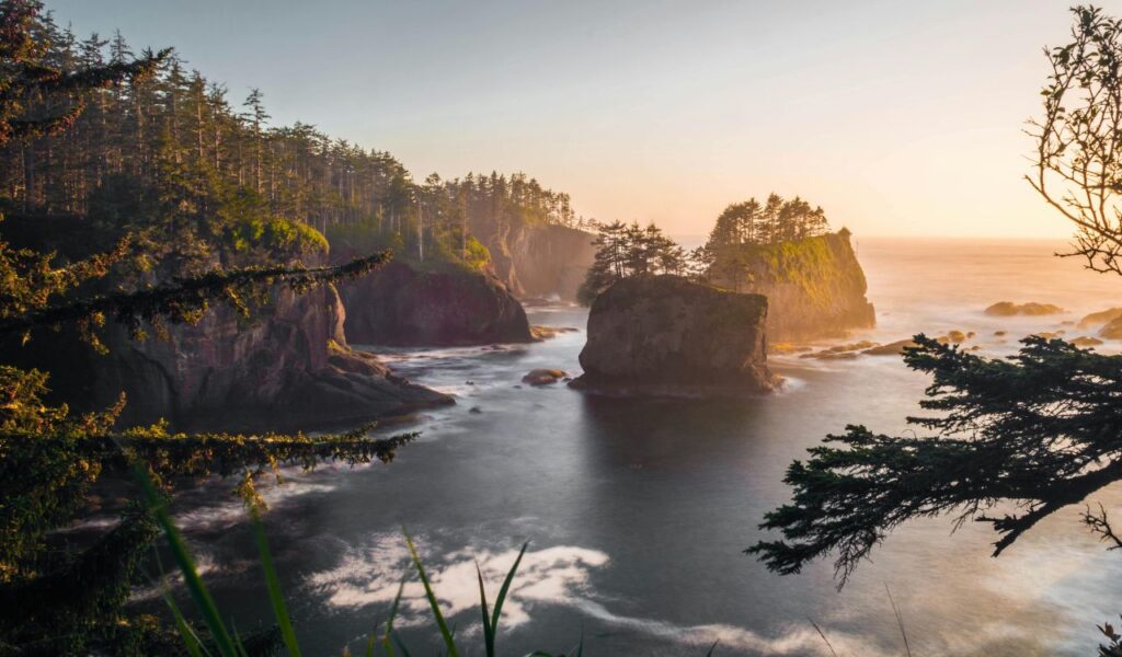 Sunset over rugged sea stacks and forested cliffs along the Washington coast, with misty waves and golden light filtering through trees.