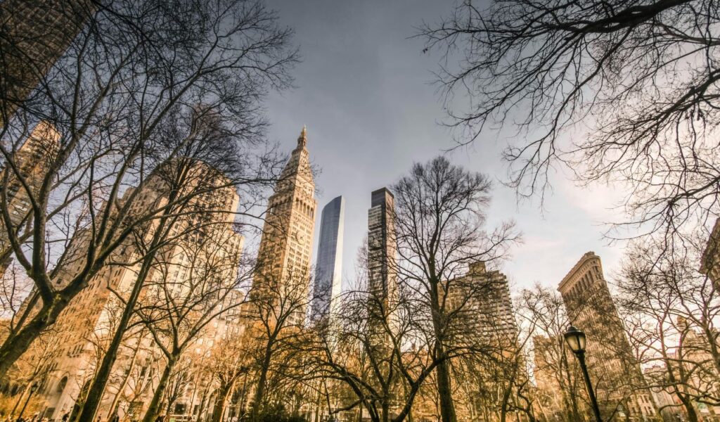 Leafless trees frame a view of Madison Square with historic and modern skyscrapers in the background under a clear sky.