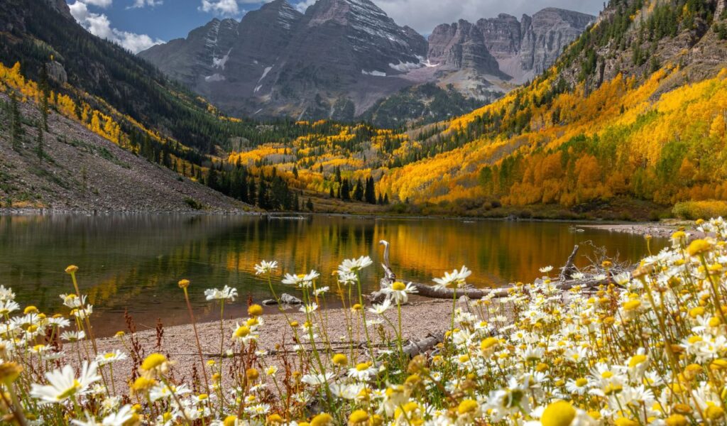 Wildflowers bloom along the shore of Maroon Lake in Colorado, with golden fall foliage and rugged mountain peaks reflecting in the calm water.