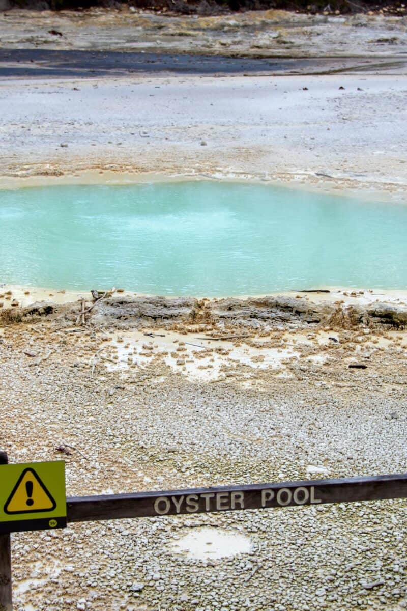 Yellowstone hot spring boardwalk with warning sign