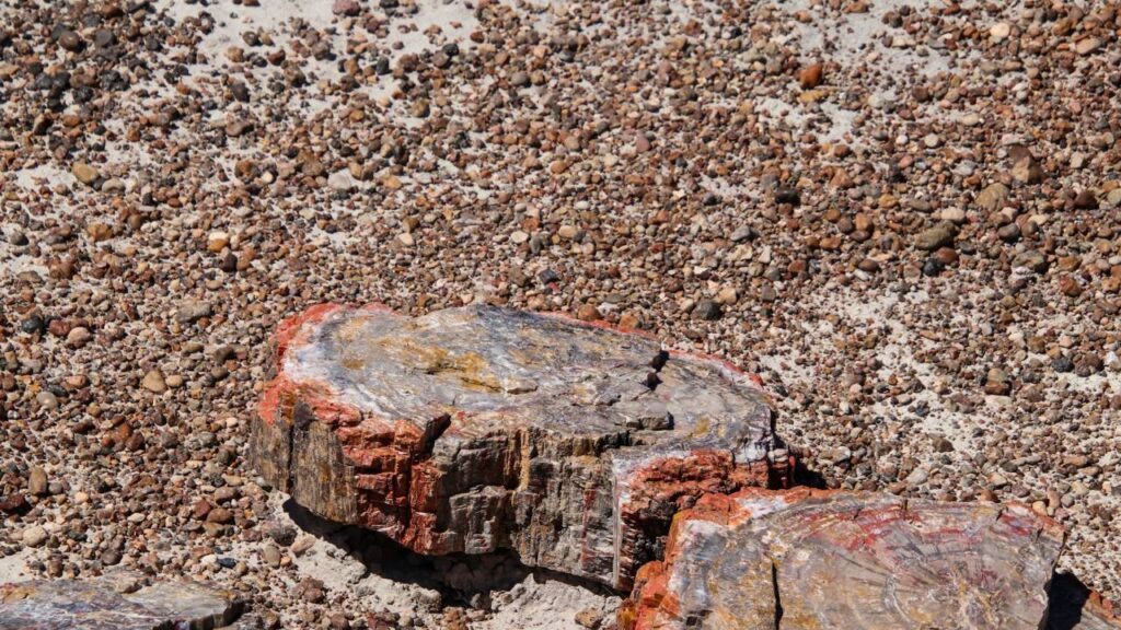Petrified Forest National Park Crystal